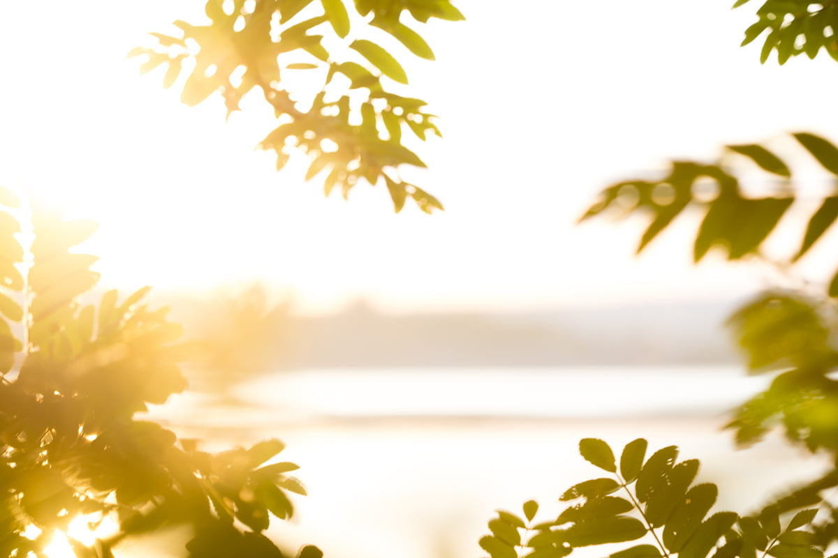 Naturfotografering på Landsort