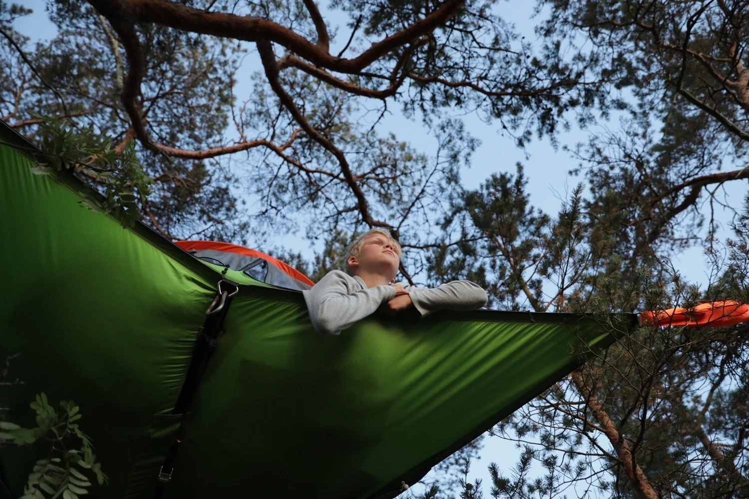 Tree Glamping – Vaxholms Bed & Breakfast